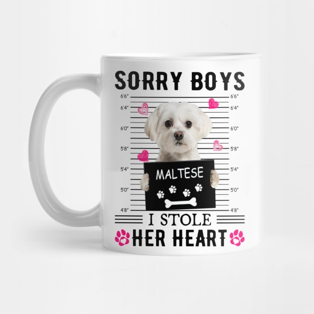 White Maltese Sorry Boys I Stole Her Heart Valentine's Day by PlumleelaurineArt